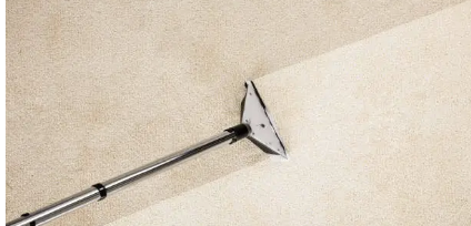 Business Carpet Cleaning in Australia_ Expert Techniques, Eco-Friendly Solutions, and Tips for Maintaining a Professional Workspace